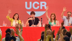 Duras críticas de la UCR a Javier Milei por su discurso polémico en el Foro de Davos
