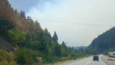 Precaución al transitar por la ruta 40.