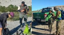 Imagen de Rescate en Villa La Angostura: una turista francesa se perdió cuando hacía trekking en un cerro