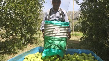 Weretilneck pidió al gobierno nacional medidas impositivas para dar alivio al sector frutícola. Foto: Juan Thomes.