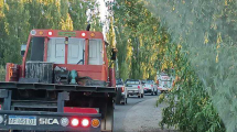 Imagen de Video | Demoras de 40 minutos en las Rutas 7 y 8: la experiencia de los conductores en Vaca Muerta