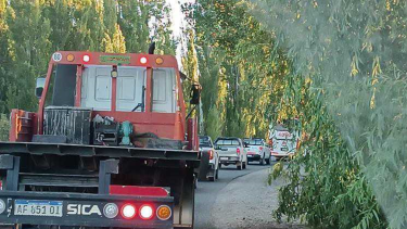 Video | Demoras de 40 minutos en las Rutas 7 y 8: la experiencia de los conductores en Vaca Muerta