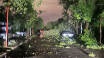 Imagen de Video | «Fue como un ciclón»: destrozos y apagones en varias ciudades del Alto Valle por la violenta tormenta