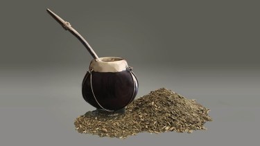Se pudo determinar que un ancestro de la yerba mate duplicó su ADN hace aproximadamente 50 a 70 millones de años. Foto: Conicet.