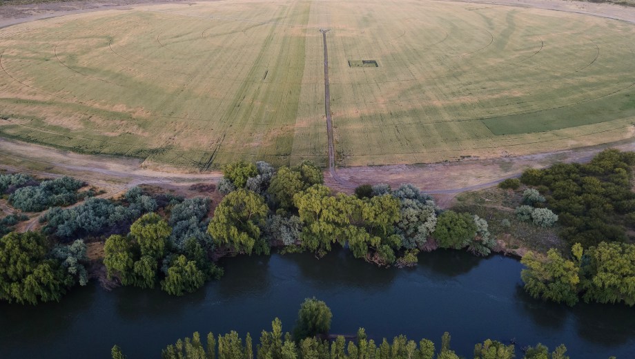 El río Negro y el trigal. Foto: Juan Thomes.
