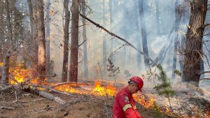 Incendio forestal en Chubut: combaten el fuego en Los Cipreses que ya consumió más de 100 hectáreas