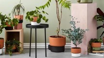 Imagen de Cómo lograr que tus plantas de interior se rieguen solas mientras estás de vacaciones