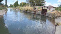 Imagen de Canales de riego del Alto Valle: la difícil supervivencia con el avance de la urbanización
