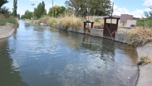 Canales de riego del Alto Valle: la difícil supervivencia con el avance de la urbanización