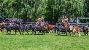 Así será la Expo Rural de Neuquén en Junín de los Andes: una guía con todos los detalles