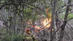 Indignante: le robaron los equipos de trabajo a un brigadista que combate los incendios en Bariloche