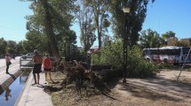 Imagen de Video | «De los 40 años que tengo como allense, la primera vez que vi algo así»: Allen, la más golpeada por el temporal del Alto Valle