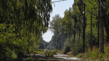 Allen fue una de las más afectadas por la tormenta. (Juan Thomes)
