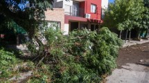 Imagen de Corte general de luz en Allen tras el «extraordinario temporal»: los horarios de este viernes