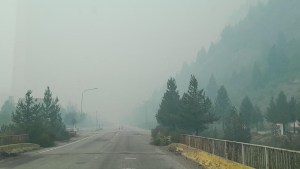 Ruta 40 bajo humo entre Bariloche y El Bolsón: el tramo más complicado y qué hacer al volante