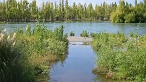 Encontraron el cuerpo de un hombre en el río Limay, a la altura de Arroyito