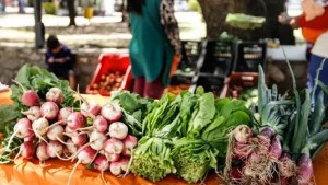 Centenario: Del productor al consumidor, una buena propuesta para aprovechar alimentos agroecológicos
