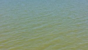 Cambió la alerta por cianobacterias en El Chocón: qué esperan este fin de semana de calor extremo