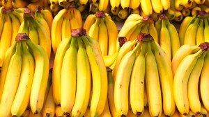 Acelerá el crecimiento de tus plantas con un fertilizante casero: solo necesitás cáscaras de banana