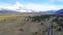Imagen de Pasos a Chile desde Neuquén: en qué rutas se trabaja y qué obras se harán a futuro