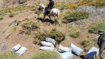 Imagen de Se revela el misterio del norte neuquino sobre los bultos con medicamentos por 27 millones de pesos
