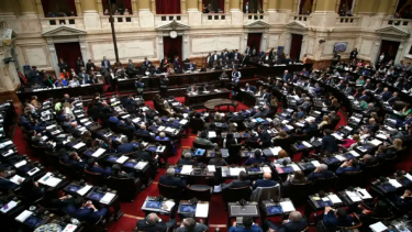 El Gobierno de Milei impulsa eliminar las PASO. 