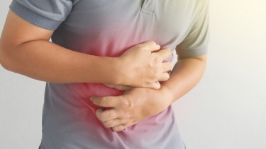 Al reducir la absorción de colesterol y triglicéridos, protege contra enfermedades cardiovasculares.