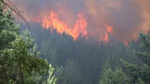 Incendio en Epuyén: hay más de 60 evacuados y el fuego consumió cerca de 2000 hectáreas en Chubut