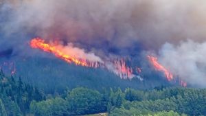 El incendio en Epuyén ya quemó más de 3 mil hectáreas: sigue activo y esperan las lluvias