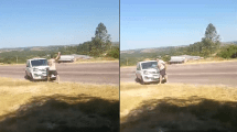 Imagen de El estatal de Río Negro detenido en Brasil por romper un parabrisas tenía una condena por lesiones