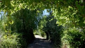 Los duendes de la Confluencia de los ríos de Neuquén