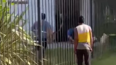 Incendio en un parque de Cipolletti. Foto: gentileza Intrusos de la Política 2.