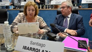 Ingresos Brutos en Río Negro: piden revisar la ley impositiva, tras el reclamo de los empresarios