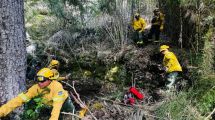 Imagen de Incendios en la Patagonia: buenas noticias para los parques Lanín y Nahuel Huapi, ¡controlaron el fuego!