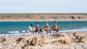 Cómo llegar desde Neuquén y el Alto Valle a la Ruta Azul en Chubut, uno de los mejores destinos del mundo para viajar