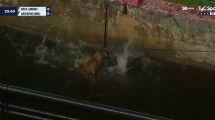 Imagen de Segundos de tensión en la Copa Argentina: un perro casi pierde la vida en el partido de Boca Juniors  