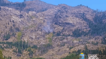 Imagen de Video | Incendio en El Hoyo, sobre el cerro Currumahuida: piden circular con precaución por la Ruta 45