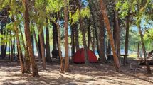Imagen de Ir en carpa a Villa El Chocón: cuánto sale una noche en el Camping Municipal