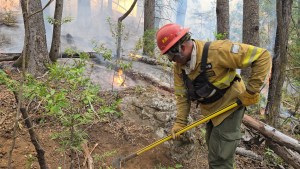 Incendios: el debate para agravar penas se posterga hasta mediados de marzo