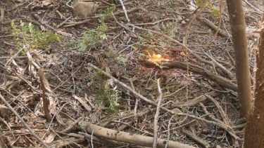 Video | Incendio en El Bolsón: “Había fogatas en forma de estrellas, se nos caían las lágrimas”