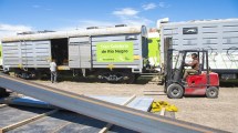Imagen de Por los incendios el Tren Solidario reprogramó su llegada a Bariloche: cómo colaborar