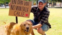 Imagen de Creó una aplicación para facilitar los reencuentros entre damnificados de El Bolsón y sus mascotas