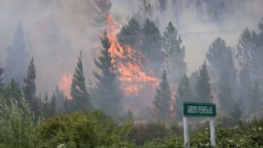El incendio en Epuyén se produjo a mediados de enero. Foto: gentileza