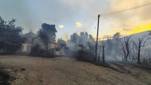 Incendio: el intendente de El Bolsón anunció una plaza en el lugar donde estaba el centro de salud y estalló la polémica