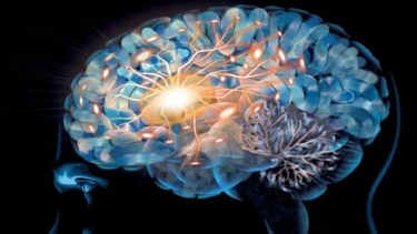 Mapa entre las conexiones del cerebro y las interneuronas. Foto ensedeciencia.
