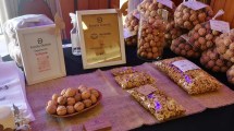 Imagen de Producción de nueces en Centenario con raíz checoslovaca
