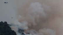 Imagen de Rolando Figueroa firmó un convenio millonario para mitigar daños de los incendios en parque Lanín