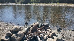 Fogones y basura en los bosques de Neuquén, a pesar de la prohibición: «Puede provocar una tragedia»