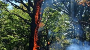 Los impresionantes números del incendio en el parque Lanín, en Neuquén: a cuántos metros por hora se expande el fuego