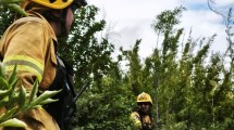 Imagen de Incendio en Los Alerces: «Son intencionales y lo padecemos desde hace 10 años. El responsable ha madurado su técnica»